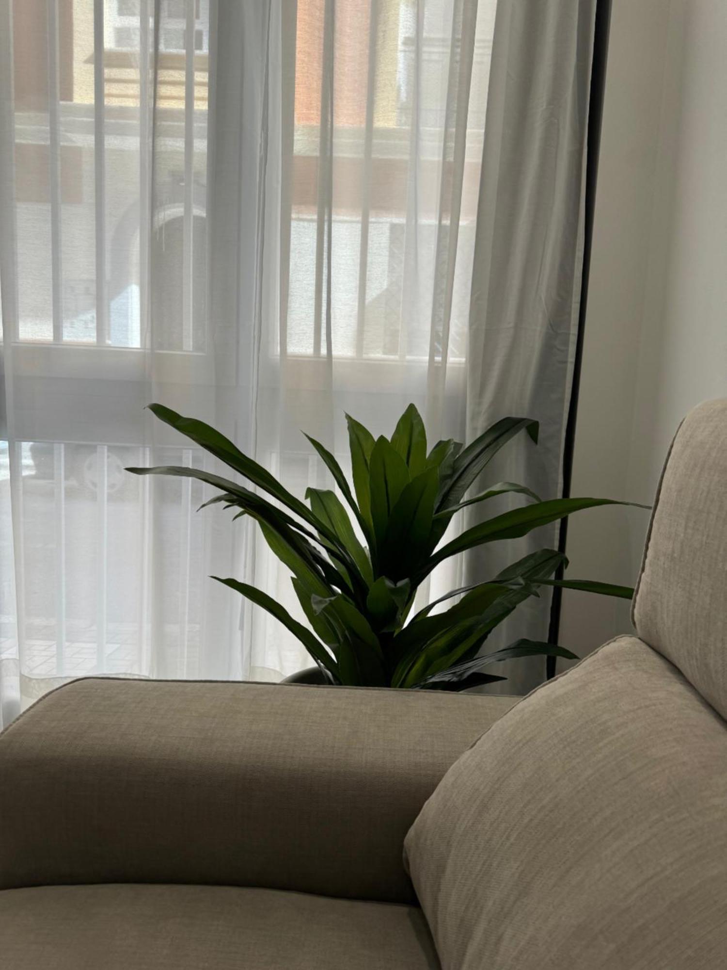 Alderete Suites Malaga Zewnętrze zdjęcie